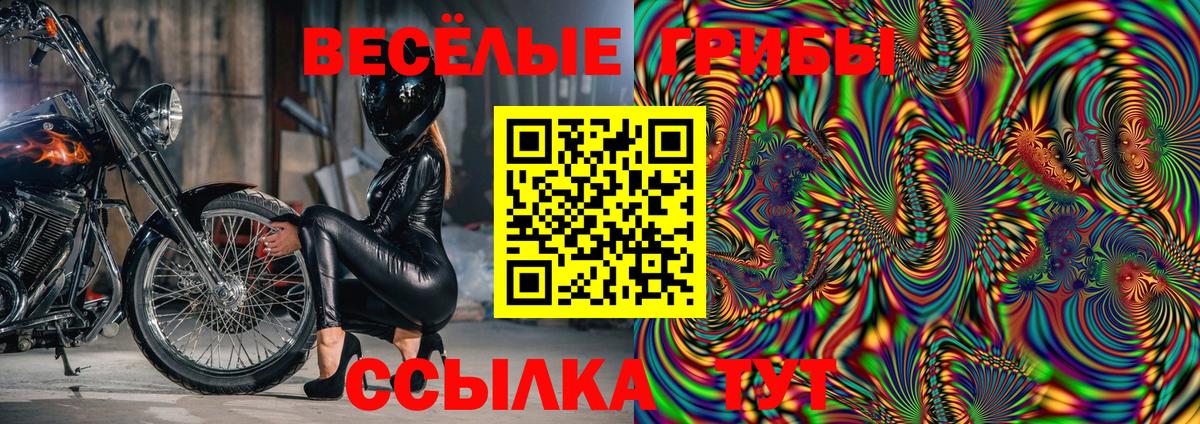 Каменск-Шахтинский  Галлюциногенные грибы мухоморы  Вход с VPN 