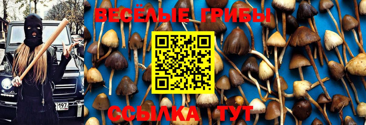 Галлюциногенные грибы Magic Shrooms Каменск-Шахтинский